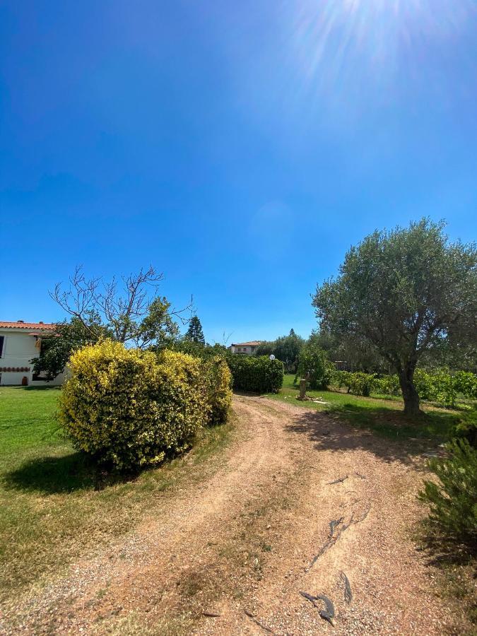 Villa Gladyr Lotzorai Exteriér fotografie