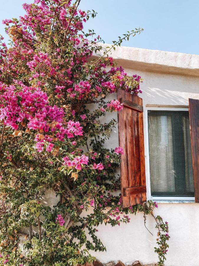 Villa Gladyr Lotzorai Exteriér fotografie