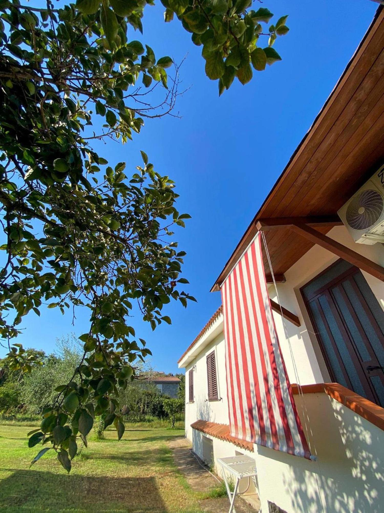 Villa Gladyr Lotzorai Exteriér fotografie