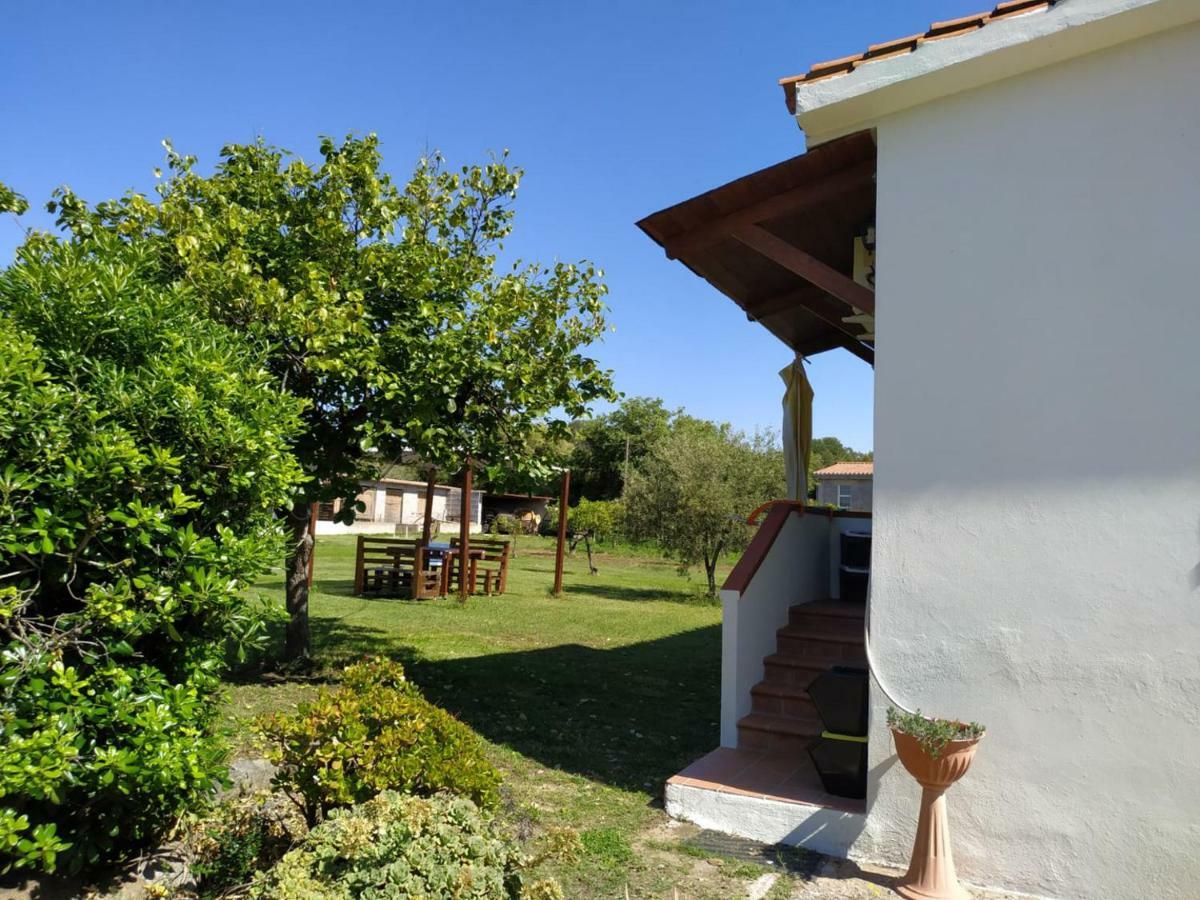 Villa Gladyr Lotzorai Exteriér fotografie